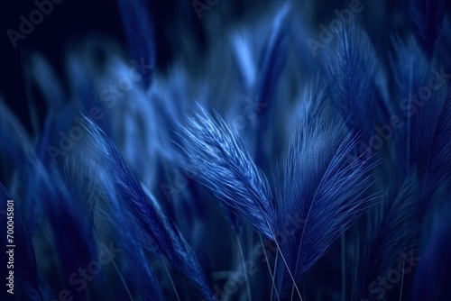grass feather toned background abstract blue navy