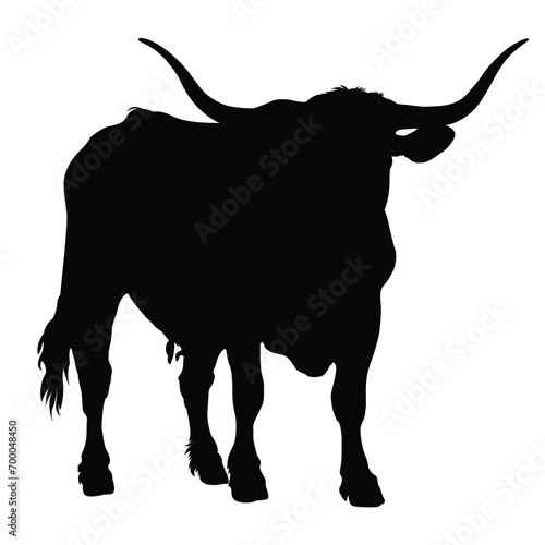 silhouette of a longhorn cattle on white