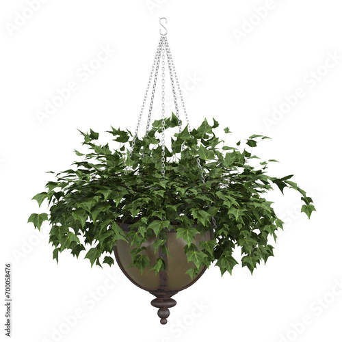 home decorative indoor plants in multiple Style no background, beautiful assets, no background flowers and plants photo