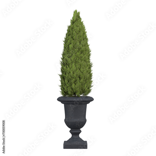 home decorative indoor plants in multiple Style no background, beautiful assets, no background flowers and plants