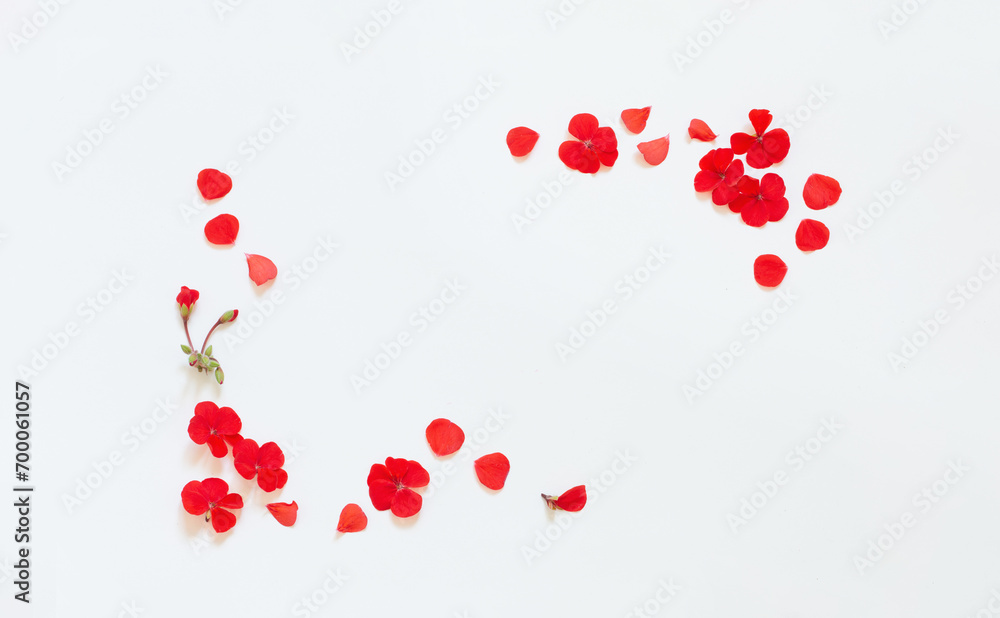 frame of red geranium on white background