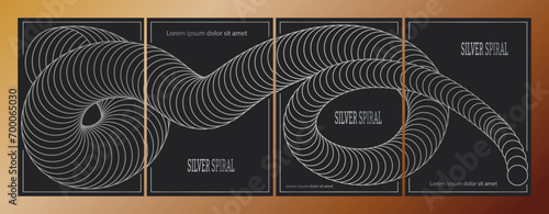 The silver spiral. A design template for the design of a cover, banner, poster. A luxurious composition for interior design, decorations and creative ideas