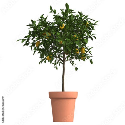 home decorative indoor plants in multiple Style no background, beautiful assets, no background flowers and plants