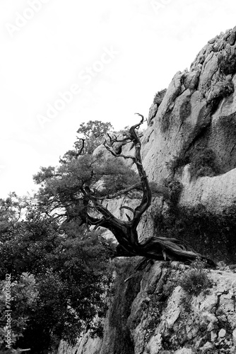 Dolina di Tiscali. Oliena. Sardegna, Italy photo