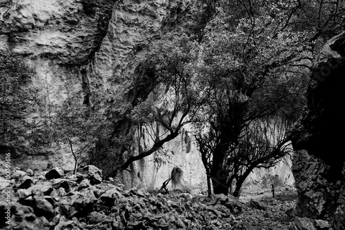 Dolina di Tiscali. Oliena. Sardegna, Italy photo