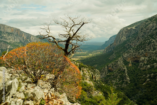 Dolina di Tiscali. Oliena. Sardegna, Italy photo