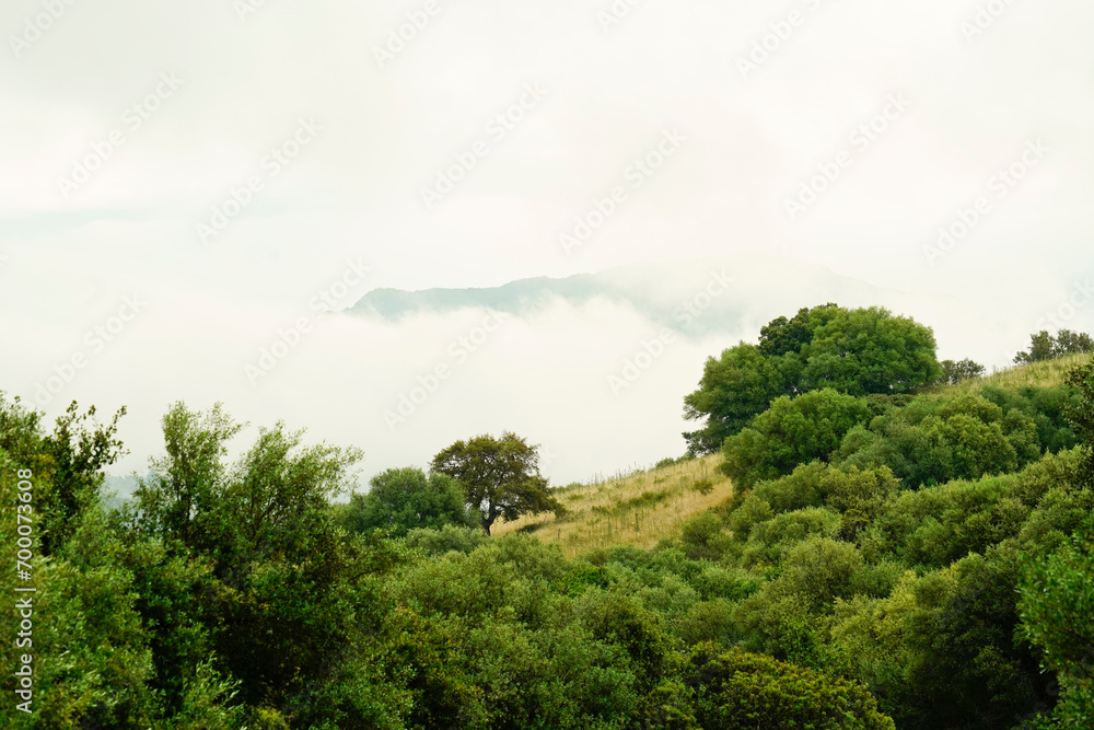 Barbagia nella nebbia. Oliena. Sardegna, Italy