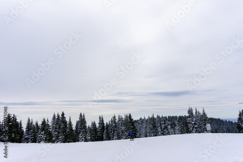 Snowy track, pine trees and cloudy sky © rninov