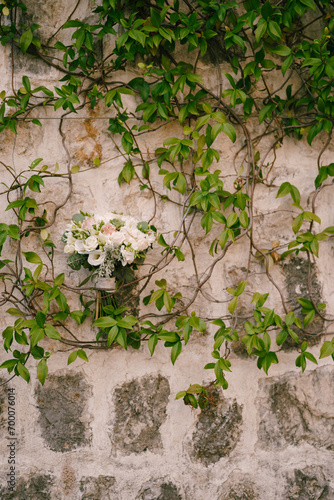 Wedding bouquet is hooked on branches of green ivy weaving along an old stone building