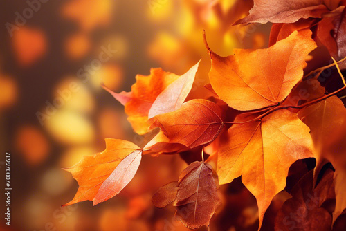 autumn leaves background  nature-inspired