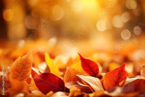 autumn leaves background