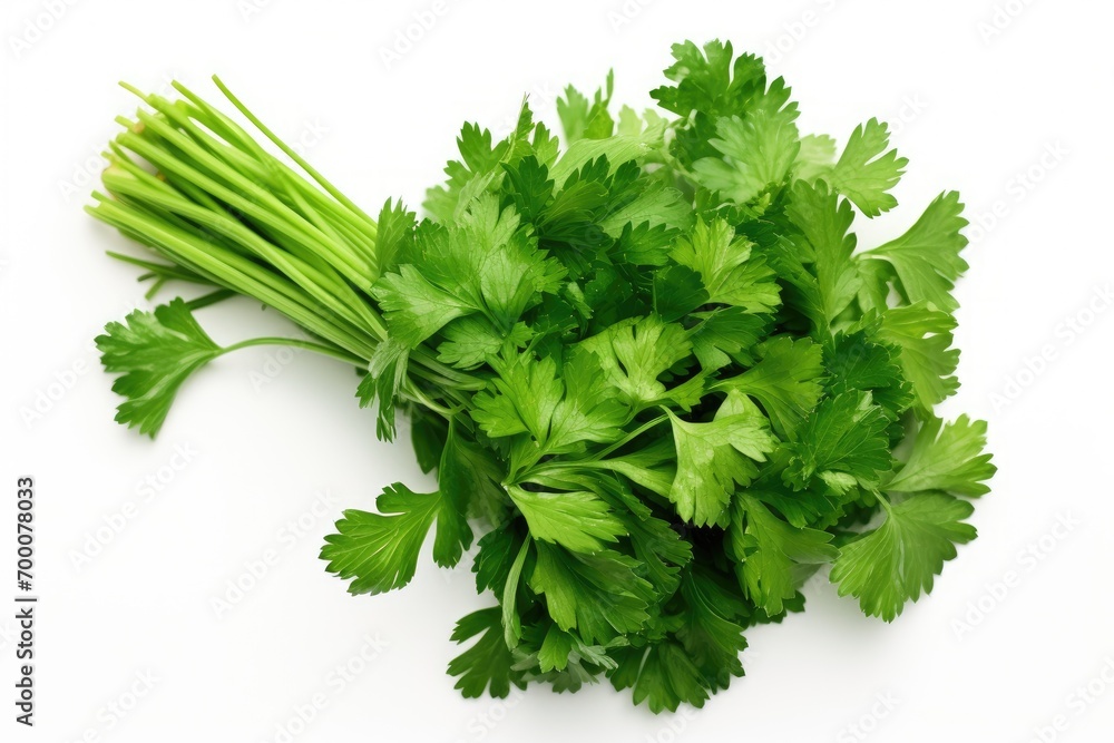 Fresh parsley, viewed from above, isolated on white. Fresh parsley, viewed from above, isolated on white.