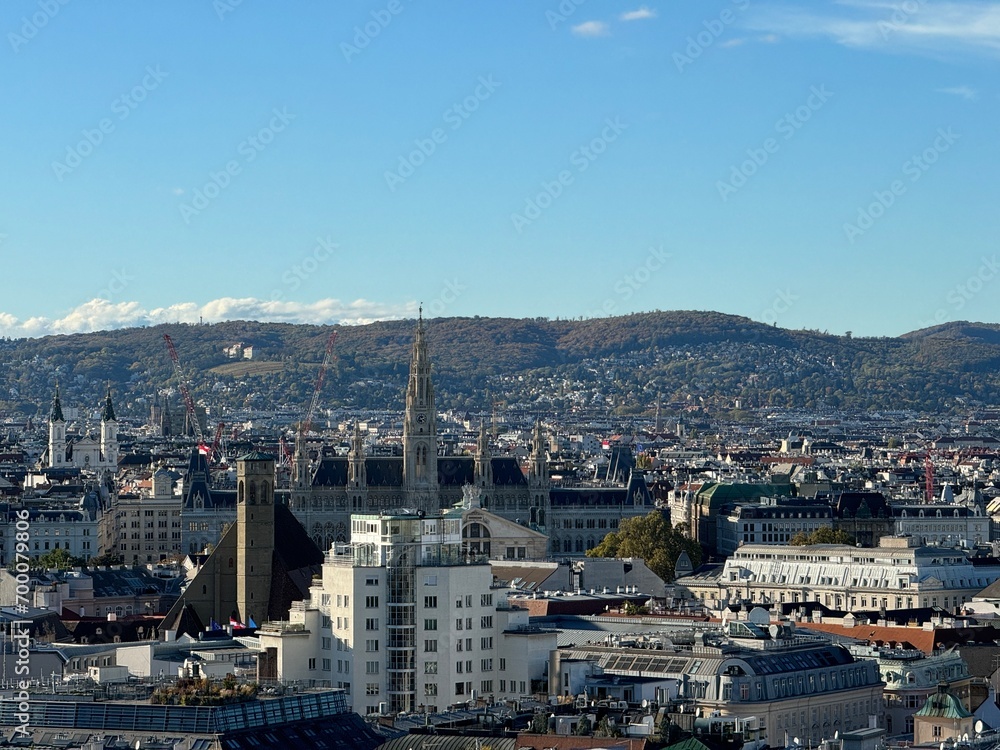 Vue des toits de la cathédrale Saint Etienne de Vienne (Autriche) en Novembre 2023