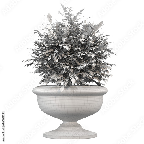home decorative indoor plants in multiple Style no background, beautiful assets, no background flowers and plants, wire no colour.