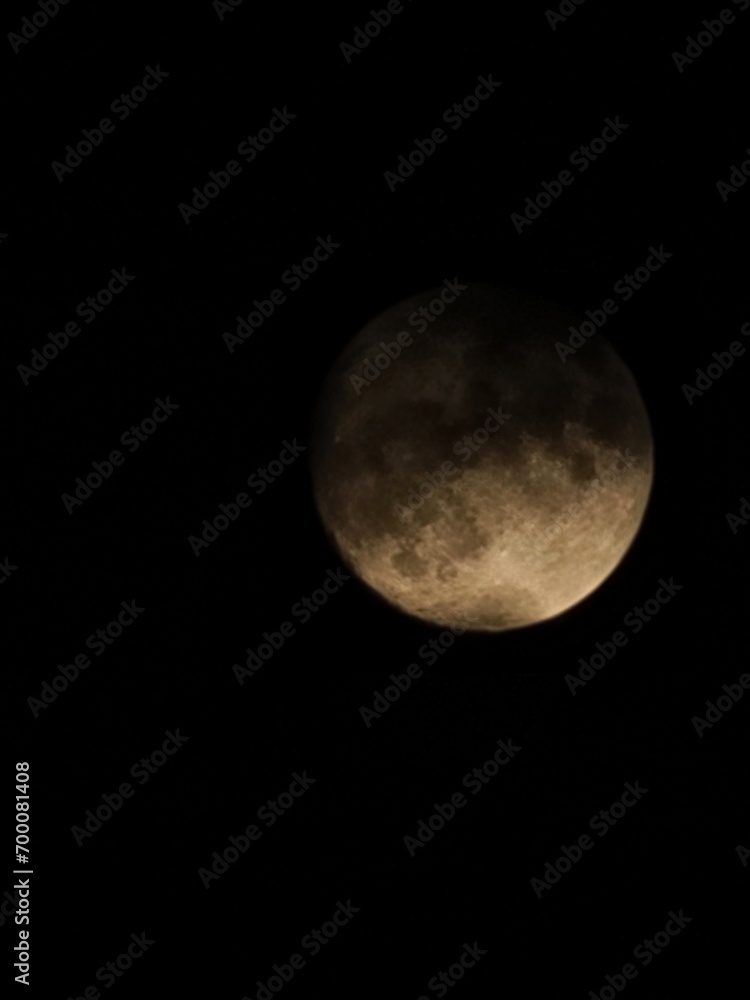 Fototapeta premium 달