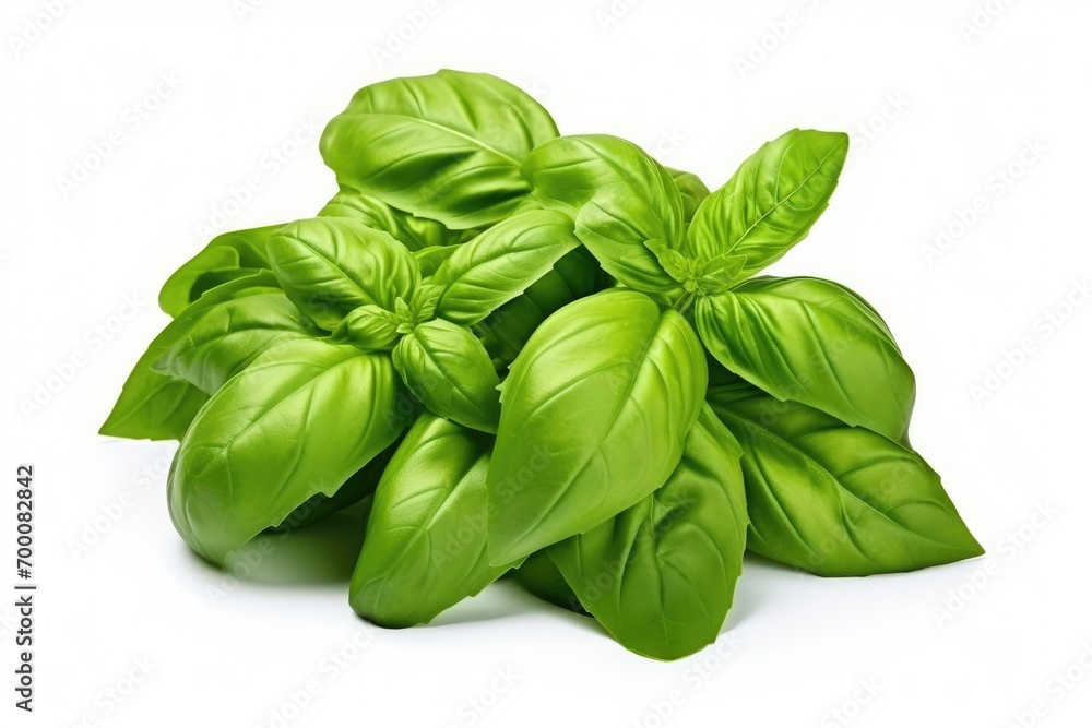 Close-up of isolated sweet basil herb leaves on white background, known as Genovese basil. - obrazy, fototapety, plakaty 