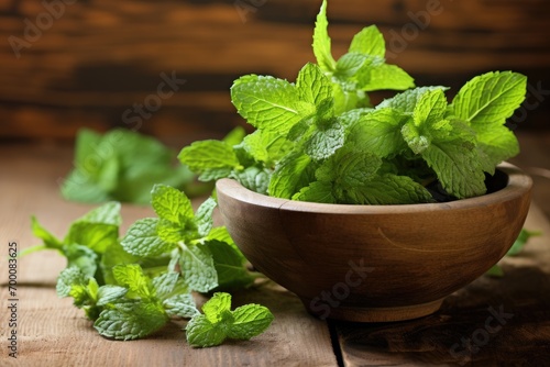 Closeup of fresh green mint in wooden mortar background