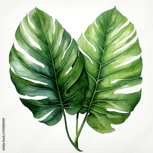 watercolor tropical leave clipart, Generative Ai photo
