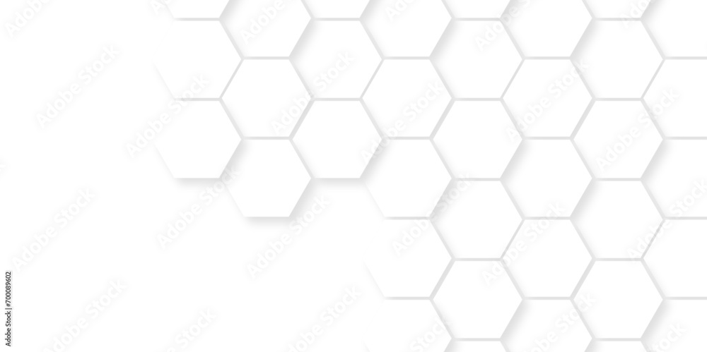 Seamless pattern with hexagonal white and gray technology line paper background. Hexagonal vector grid tile and mosaic structure mess cell. white and gray hexagon honeycomb geometric copy space. Seamless pattern with hexagonal white and gray technology line paper background. Hexagonal vector grid tile and mosaic structure mess cell. white and gray hexagon honeycomb geometric copy space.