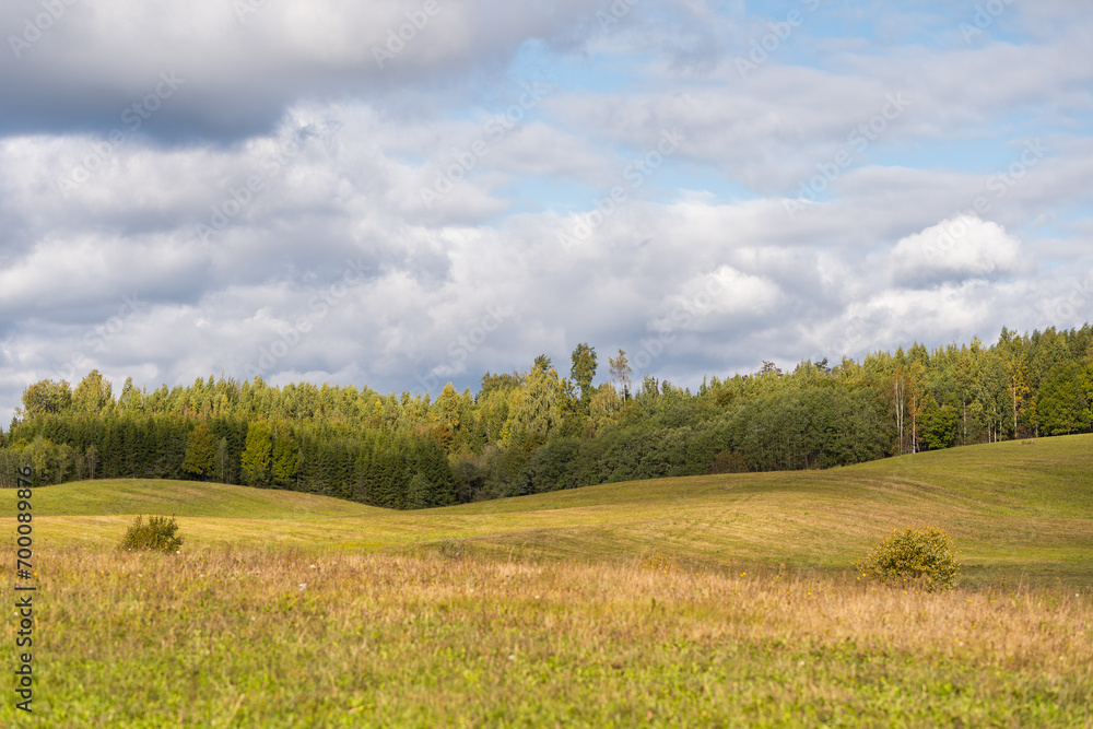 Fototapeta premium landscape of a field with sky and clouds in autumn sunny weather