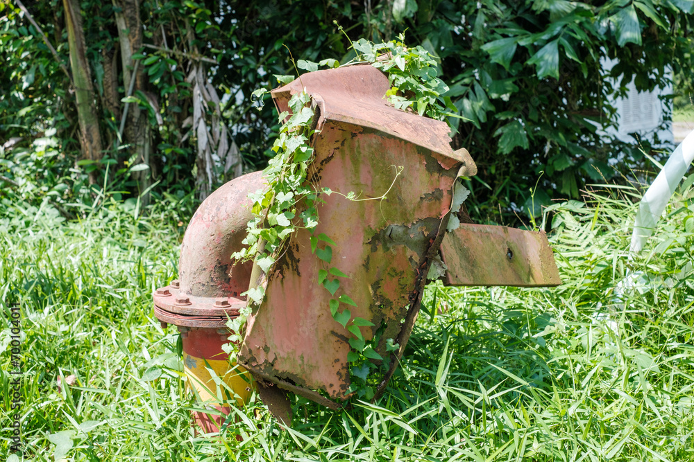 Rusty Overgrown Water Pipe Structure