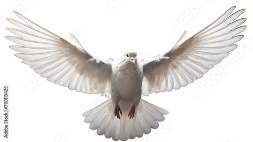 a white dove flying in the air © Dumitru
