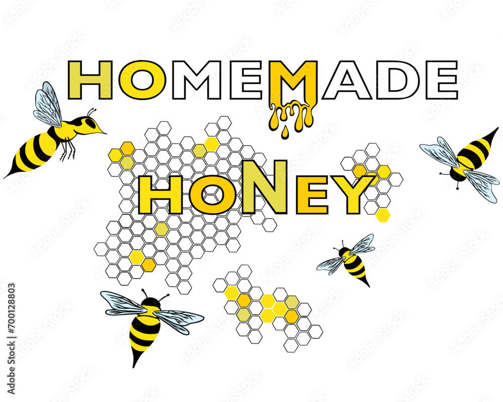 Homemade Honey and Bee vector illustration with transparent background