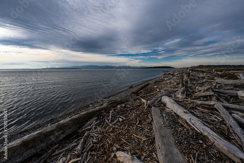 Driftwood Park on Whidbey Island, WA