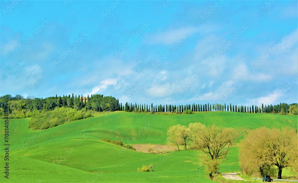 Naklejka premium Toscana