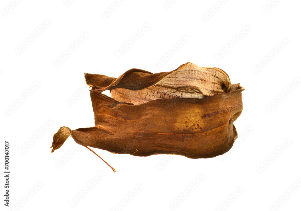 Fototapeta premium banana peel isolated on white background