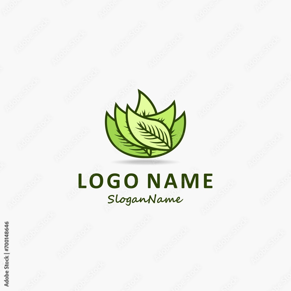vector leaf logo
