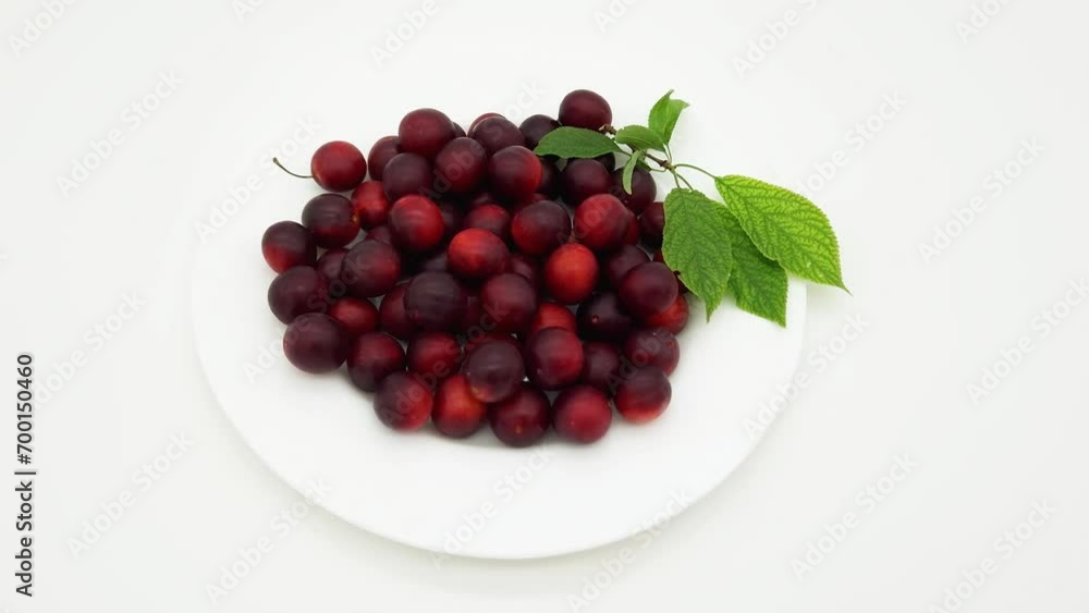 Red cherry plums with small twig plum tree on dish Red cherry plums with small twig plum tree on dish