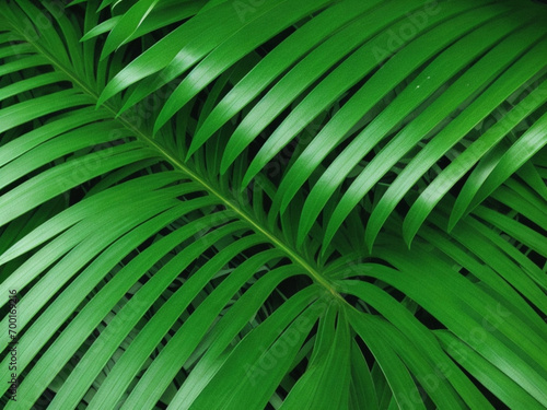 Elegant Tropical Decor: Palm Tree Texture in Nature Background ai image  © kinza