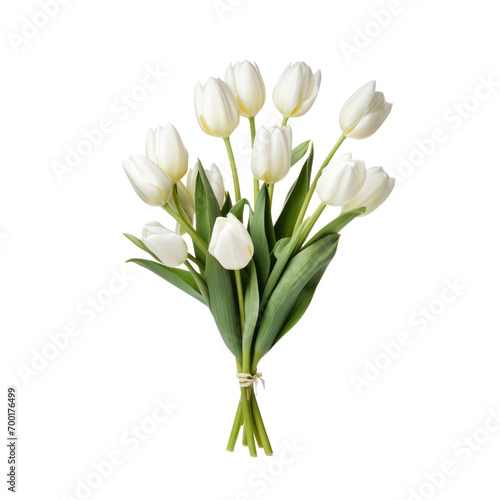 Fototapeta Naklejka Na Ścianę i Meble -  flower - 124