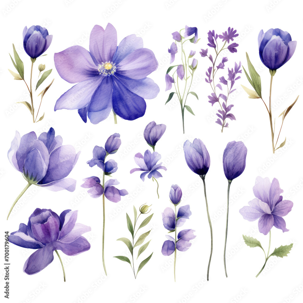 Watercolor violet flowers clipart