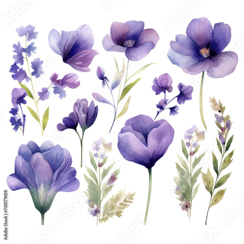 Watercolor violet flowers clipart
