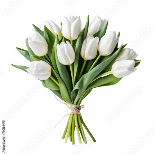 beautiful white tulip is a symbol of tranquility  beauty  and spirituality.