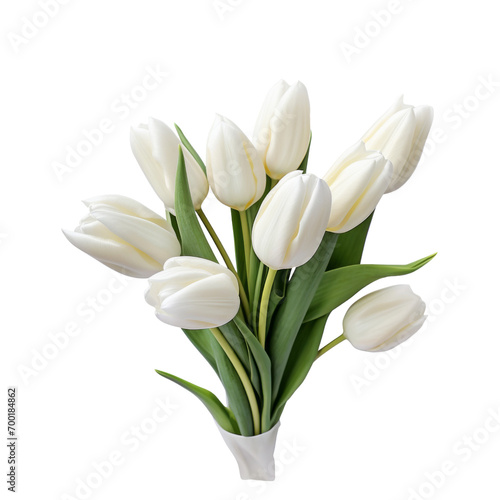 Tulips are a symbol of love and romance, signifying perfect love, abundance, passion, honesty, forgiveness, new beginnings, and complete and abundant love