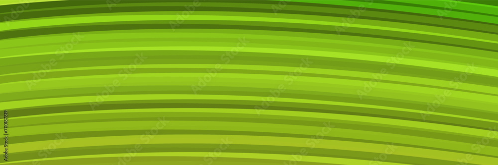abstract green elegant vibrant background