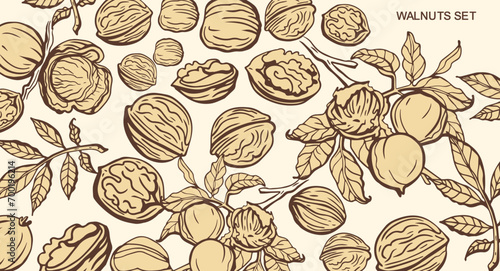 Wallpaper Mural Isolated vector set of walnuts in vintage style. Hand drawn leaves and natural healthy food nut pieces collection. Diet snack vector illustration. Ingredient for nut butter and paste. Torontodigital.ca