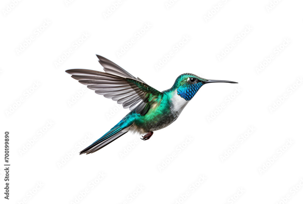 Fototapeta premium A Close-up Photo of a Beautifully Colored Hummingbird, Isolated on Transparent Background, PNG