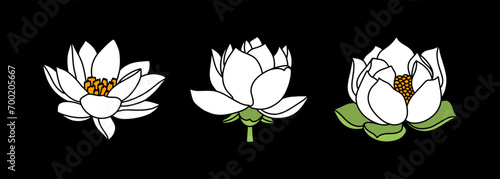 Doodle lotos rose flower with leaf clipart Hand drawn cartoon nature Vector stock illustration EPS 10