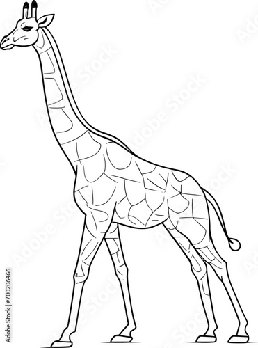 Vector outline of a giraffe in full growth  drawing for coloring  freehand art. AI generated illustration.