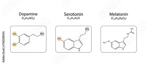 Dopamine, Serotonin  and Melatonin structural chemical formula. Isolated on white background. Vector illustration.