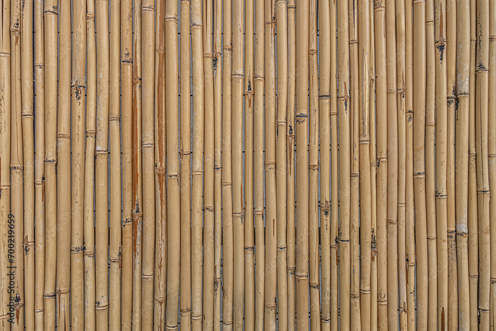 abstract background of a bamboo fence texture abstract background of a bamboo fence texture