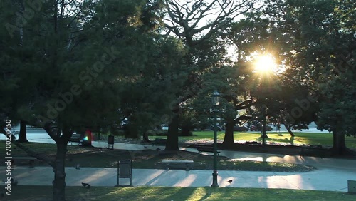 Sunset Behind Trees in Plaza San Martin (English: San Martin Square), Retiro Neighborhood, Buenos Aires, Agrentina. photo