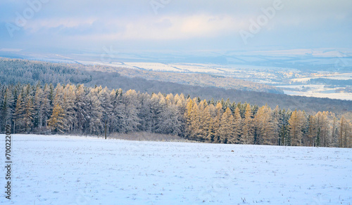 winter, white carpathians, snow, mountains, forest, christmas, © Petr