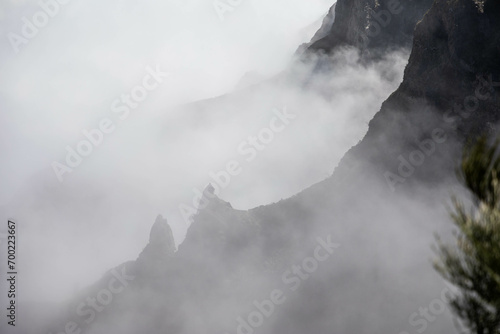 Nebel am Berg
