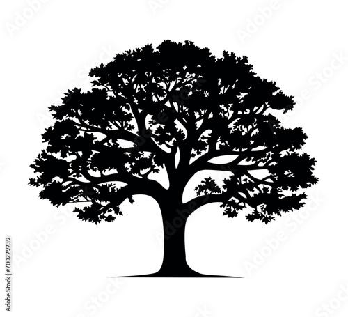 tree silhouette isolated on white