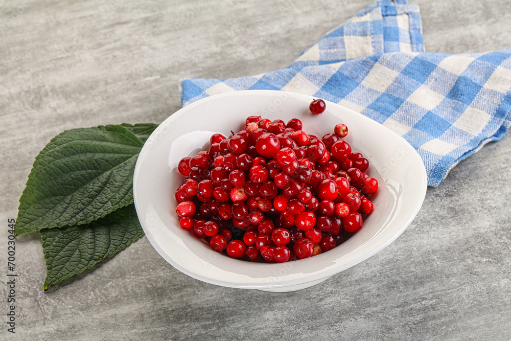 Ripe sweet wild organic cowberry Ripe sweet wild organic cowberry